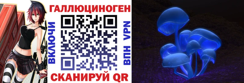Галлюциногенные грибы GOLDEN TEACHER MEGA ТОР Тында даркнет телеграм купить наркотик
