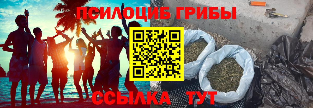 Галлюциногенные грибы прущие грибы  Вход с VPN  Тында  Галлюциногенные грибы ЛСД 