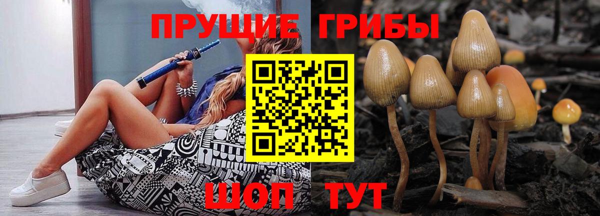 Галлюциногенные грибы MAGIC MUSHROOMS Тында